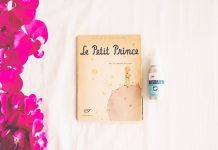 80 Meaningful ‘The Little Prince’ Quotes about friendship, love, life